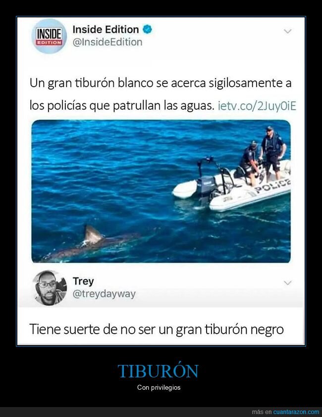 negro,policía,tiburón blanco
