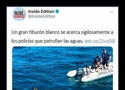 Enlace a Tiburón con suerte