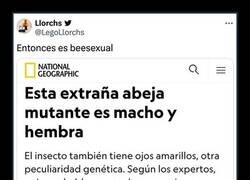 Enlace a Extraña abeja mutante