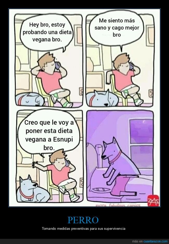 perros,vegano