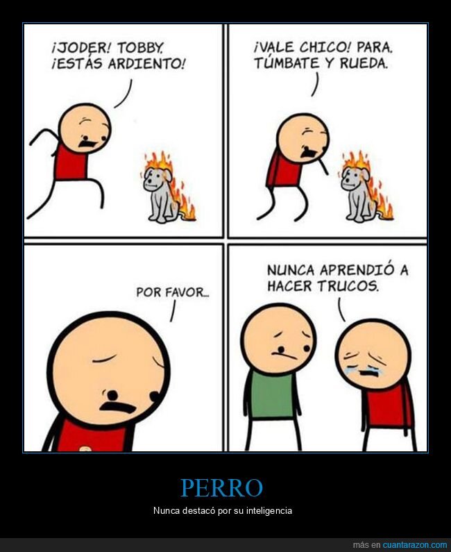 fuego,perros,trucos