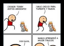 Enlace a Cuando tu perro no es demasiado listo