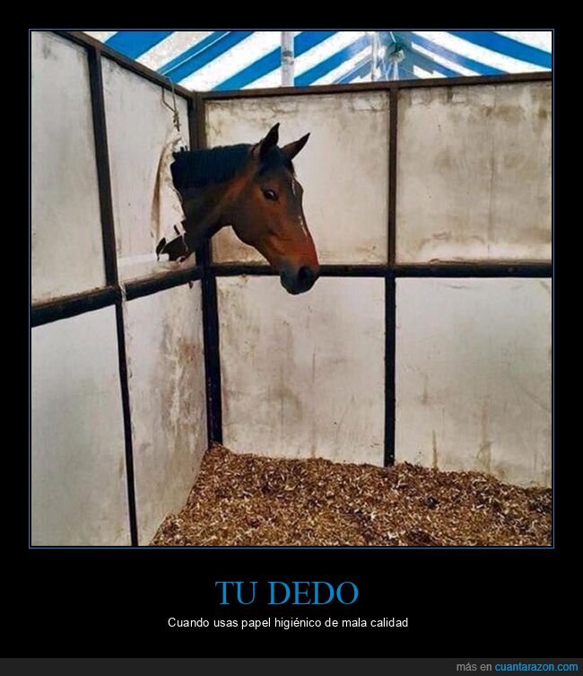 caballo,dedo,papel higiénico