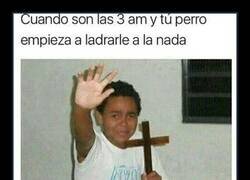 Enlace a Ladridos nocturnos