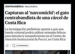 Enlace a Cae el narcomichi