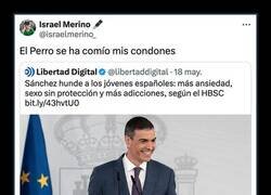 Enlace a Todo por su culpa