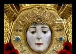 Enlace a Momento fisio