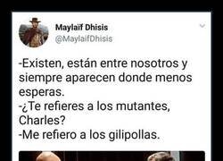 Enlace a Aparecen donde menos esperas