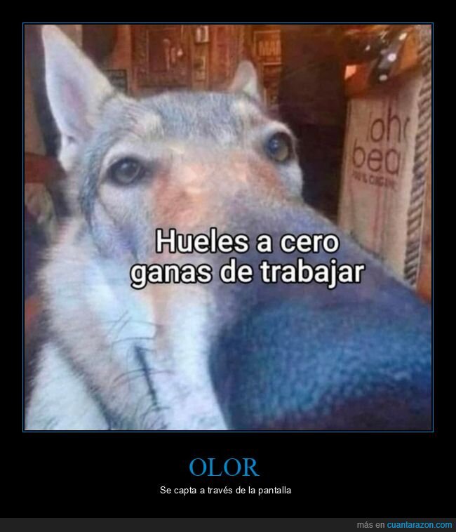 olor,ganas,trabajar