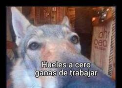 Enlace a Olor inconfundible