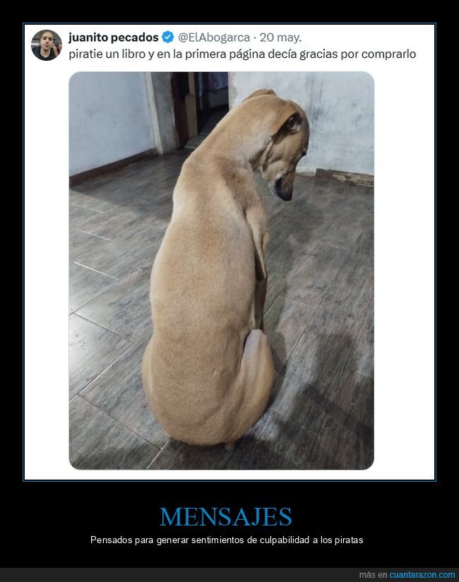 libro,piratear,agradecimiento,comprar