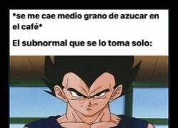 Enlace a Talibanes del café