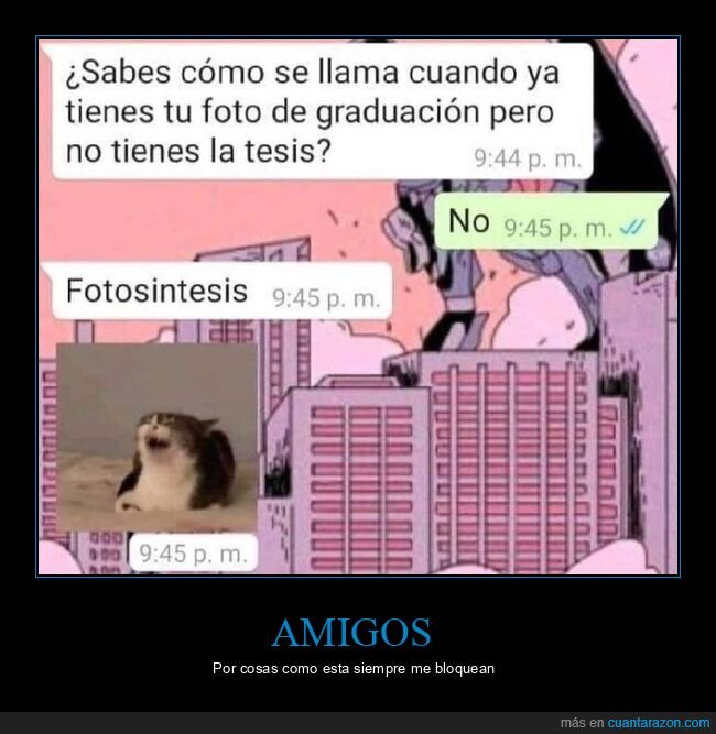 graduación,foto,tesis,fotosíntesis