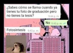 Enlace a Festival del humor
