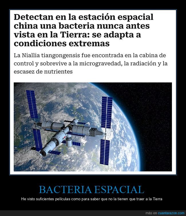 bacteria,estación espacial china