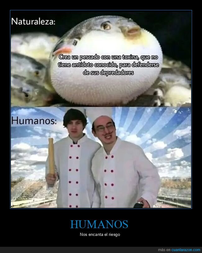 cocinar,humanos,pez globo,toxina