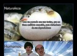 Enlace a Ideal para comer