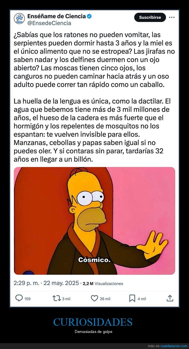 curiosidades