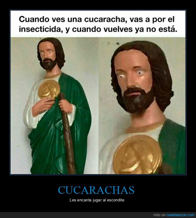 cucaracha,insecticida