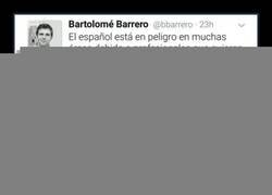 Enlace a Malditos anglicismos...