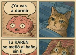 Enlace a Cerebro felino