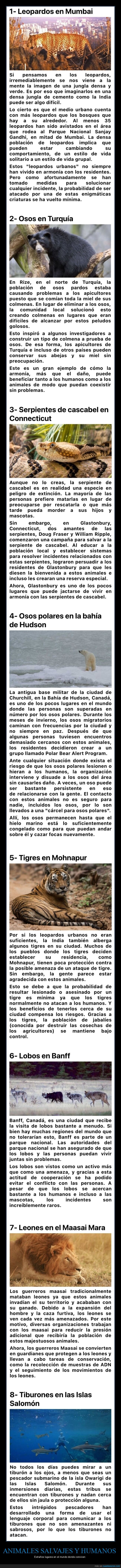 animales,humanos,lugares,vivir