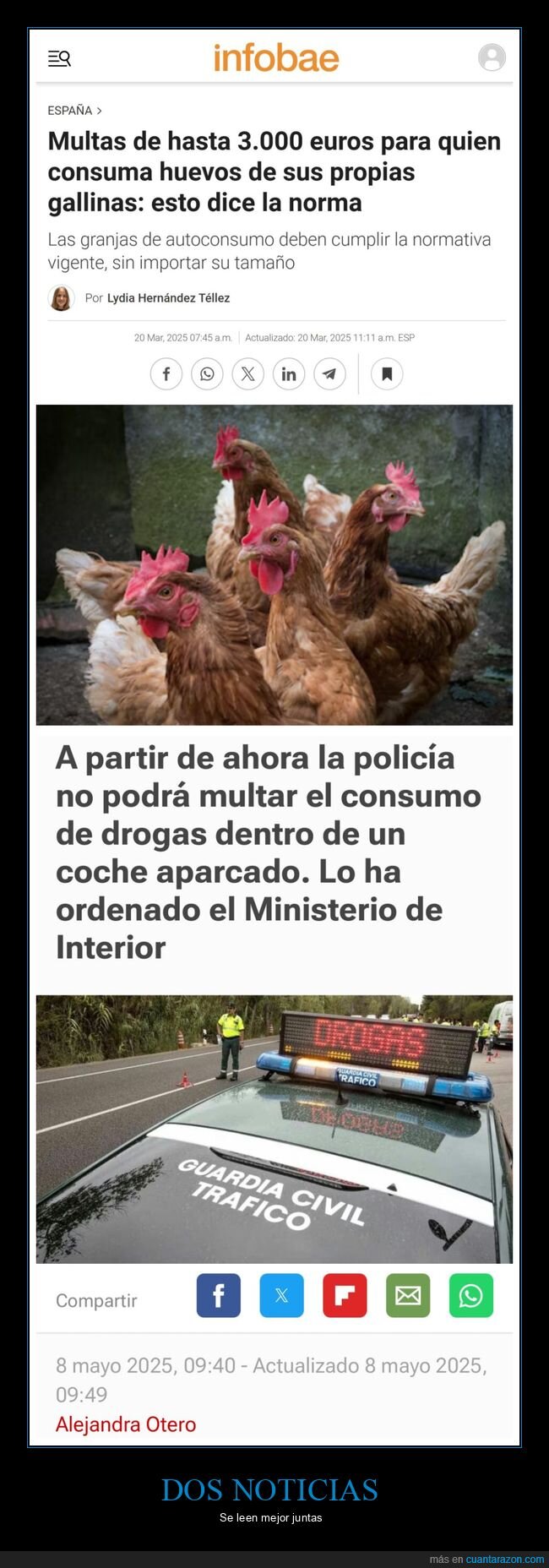 huevos,gallinas,multas
