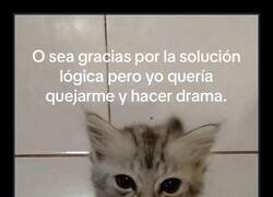 Enlace a Se agradece pero...