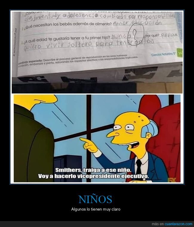 niño,hijos,gatos