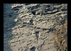 Enlace a Huellas del pasado