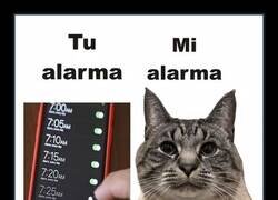 Enlace a Dos tipos de alarma