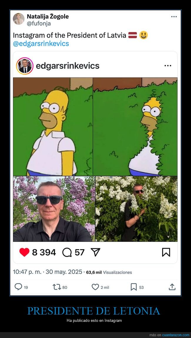 letonia,políticos,presidente,simpsons