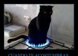 Enlace a A todo se acostumbra uno