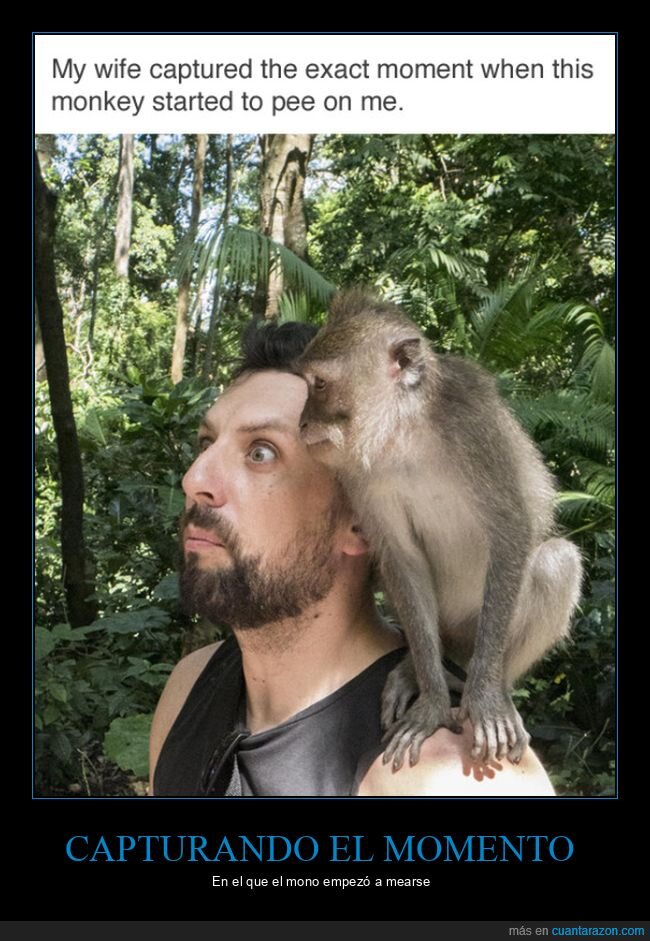 caretos,foto,mear,momento exacto,mono