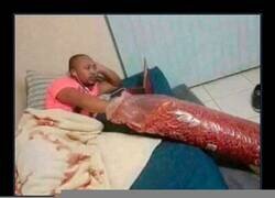 Enlace a Gran hallazgo