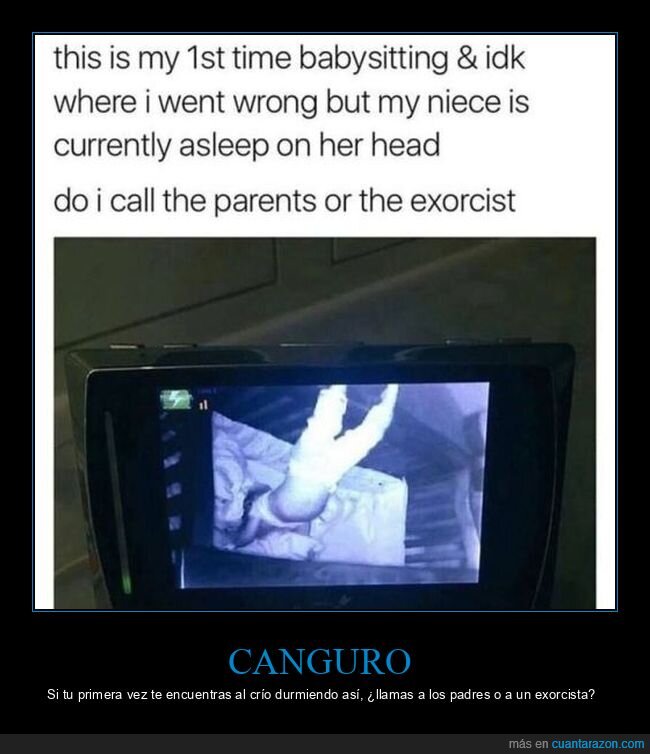 canguro,durmiendo,niño,wtf