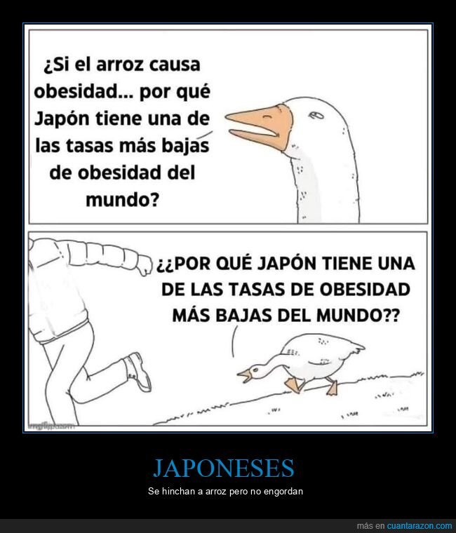 arroz,obesidad,japón