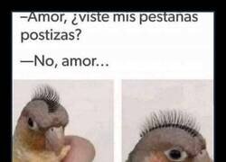 Enlace a A él le quedan mejor