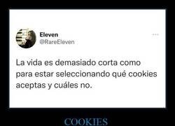 Enlace a La pérdida de tiempo de las cookies