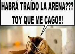 Enlace a Revisando la compra
