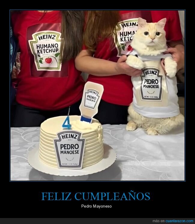 gato,cumpleaños,pedro mayoneso,nombres