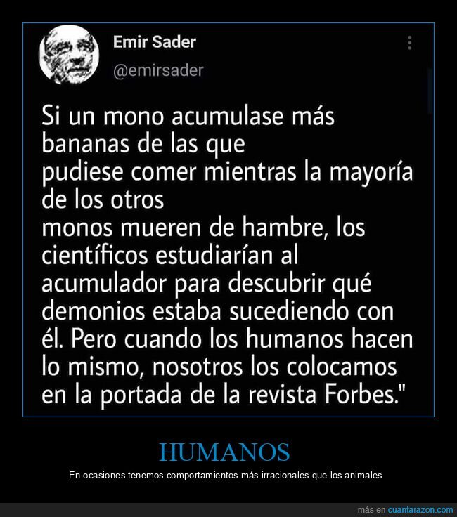 mono,acumular,plátanos,humanos,forbes