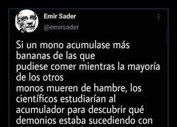 Enlace a Comportamiento irracional