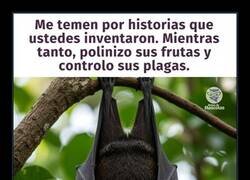 Enlace a Un animal con mala publicidad