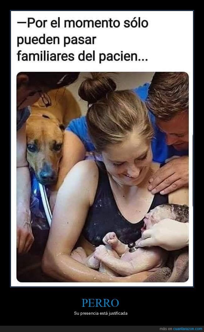 parto,familiares,perro