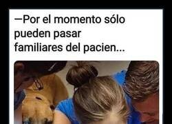 Enlace a Solo familiares