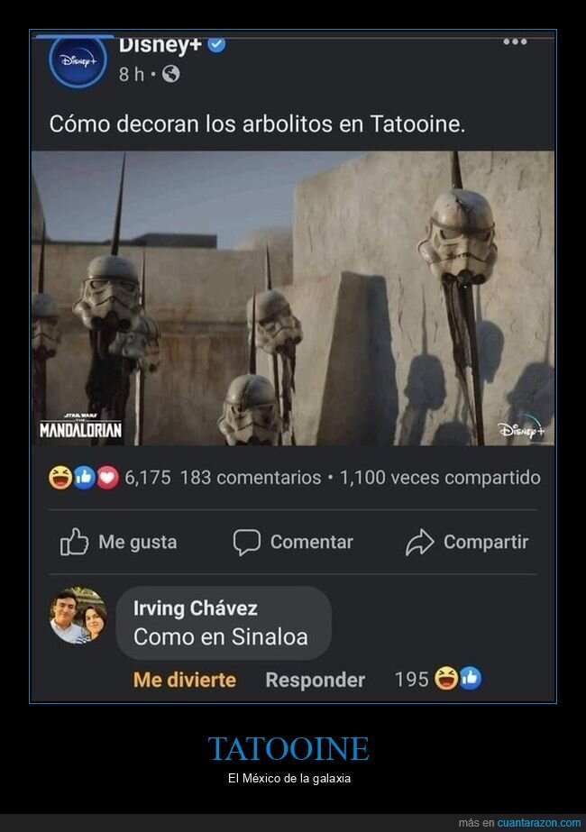 tattoine,árboles,sinaloa