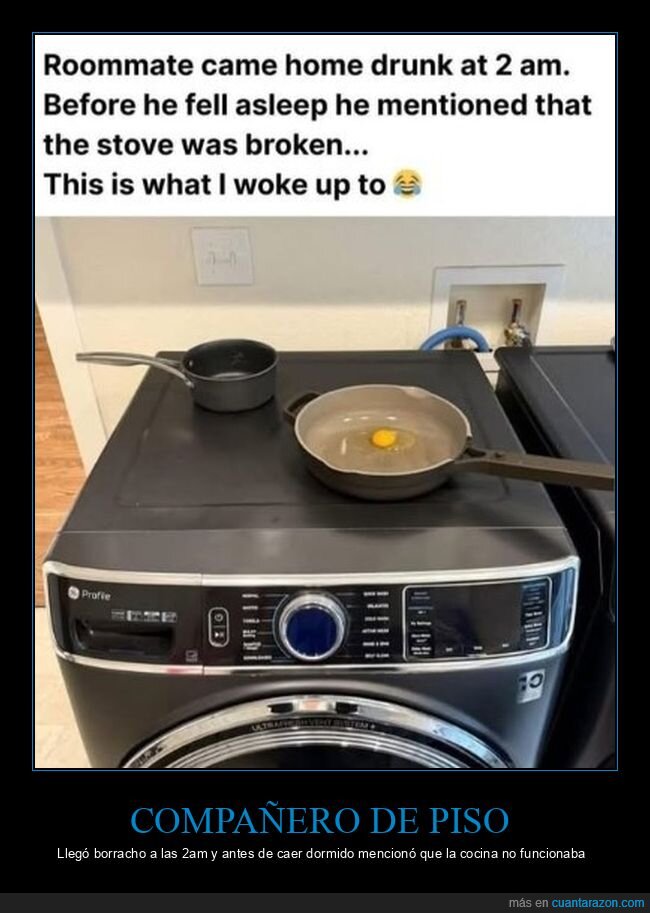 compañero de piso,borracho,cocina,lavadora