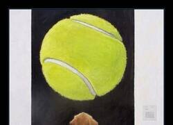 Enlace a Un arte que es capaz de apreciar