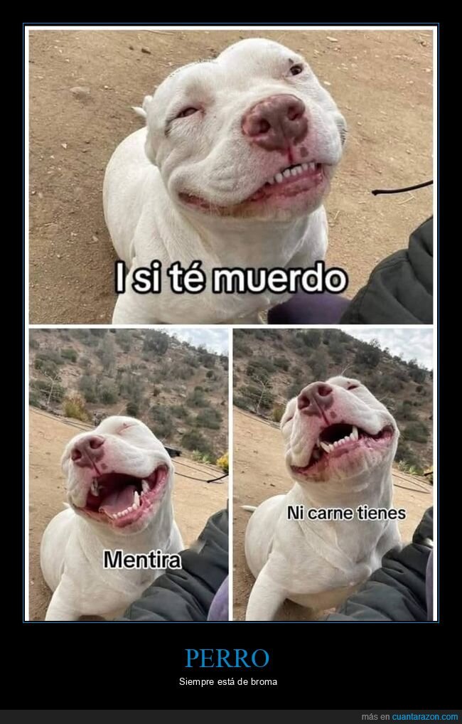 morder,mentira,carne